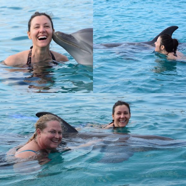 We swam with free dolphins in Curacao, so magical!